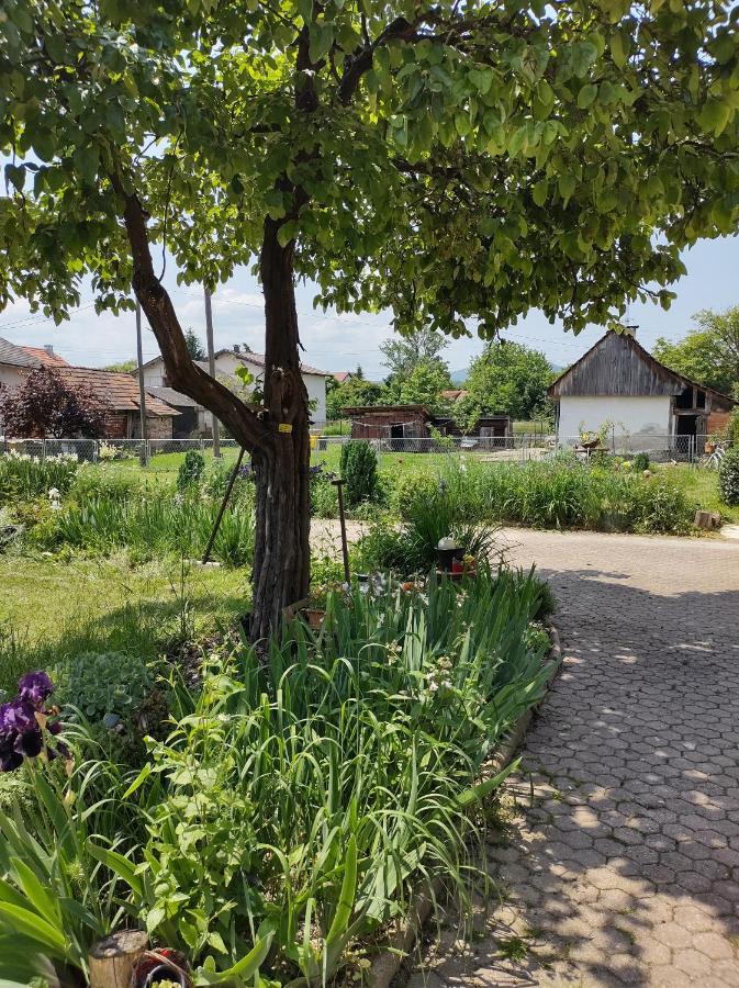 Villa Drenje Kljuc Brdovecki المظهر الخارجي الصورة