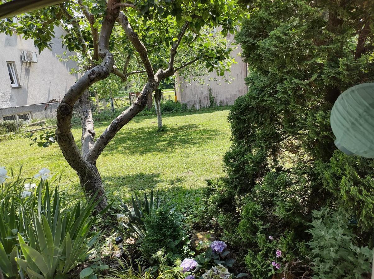 Villa Drenje Kljuc Brdovecki المظهر الخارجي الصورة