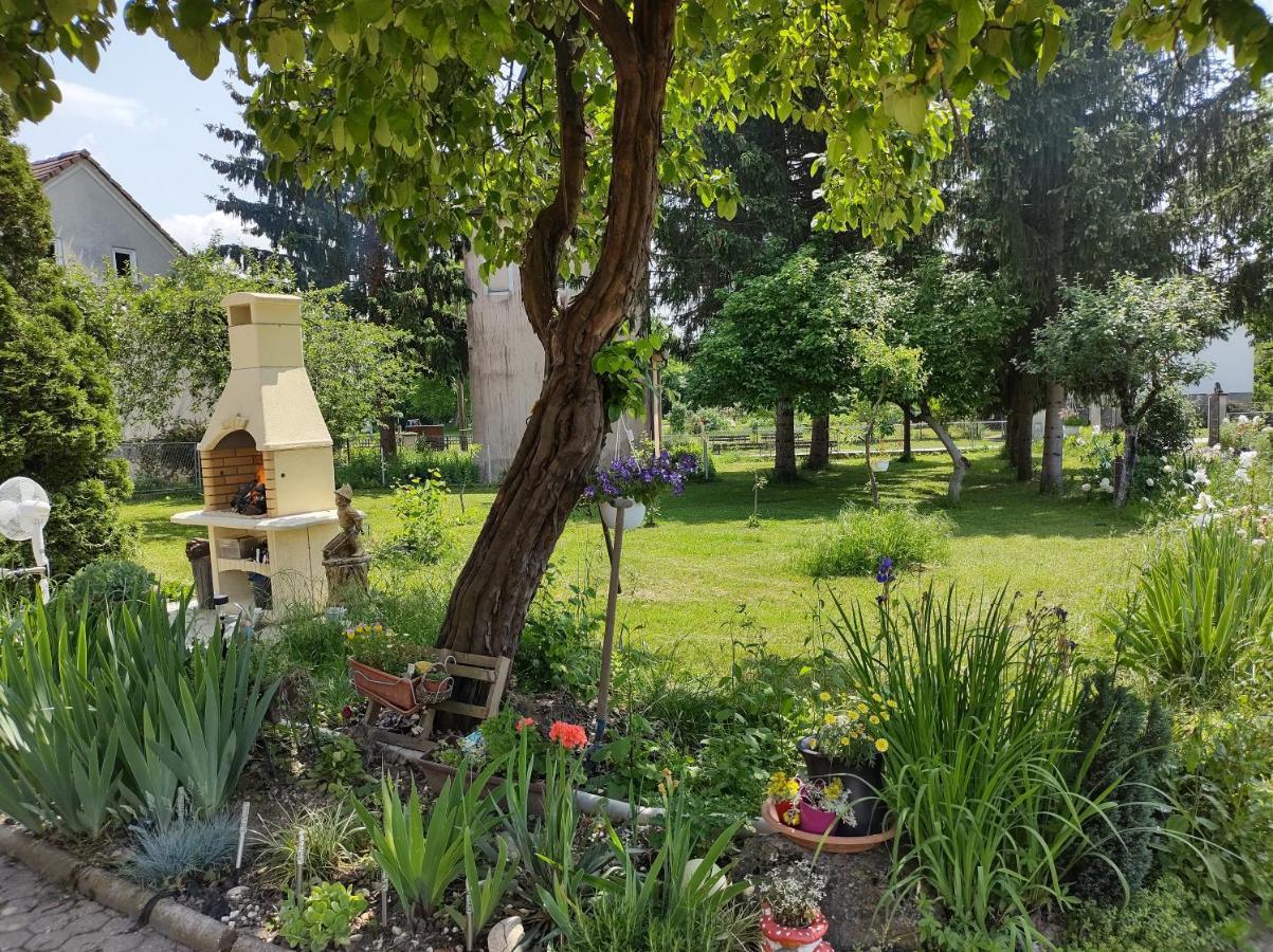 Villa Drenje Kljuc Brdovecki المظهر الخارجي الصورة
